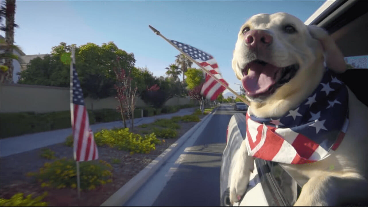 Parade Sizzle Reel – 2020 Parade Sizzle Reel - 2020